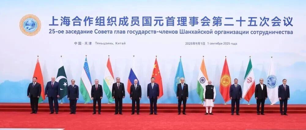 对话郑永年：上合组织未来或成塑造国际秩序的新路径