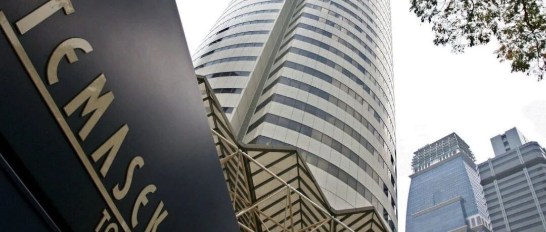 谢娜：淡马锡控股对新加坡经济的作用