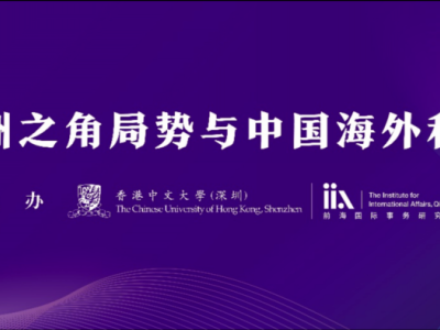 活动回顾|叶薇：“非洲之角局势与中国海外利益”研讨会综述