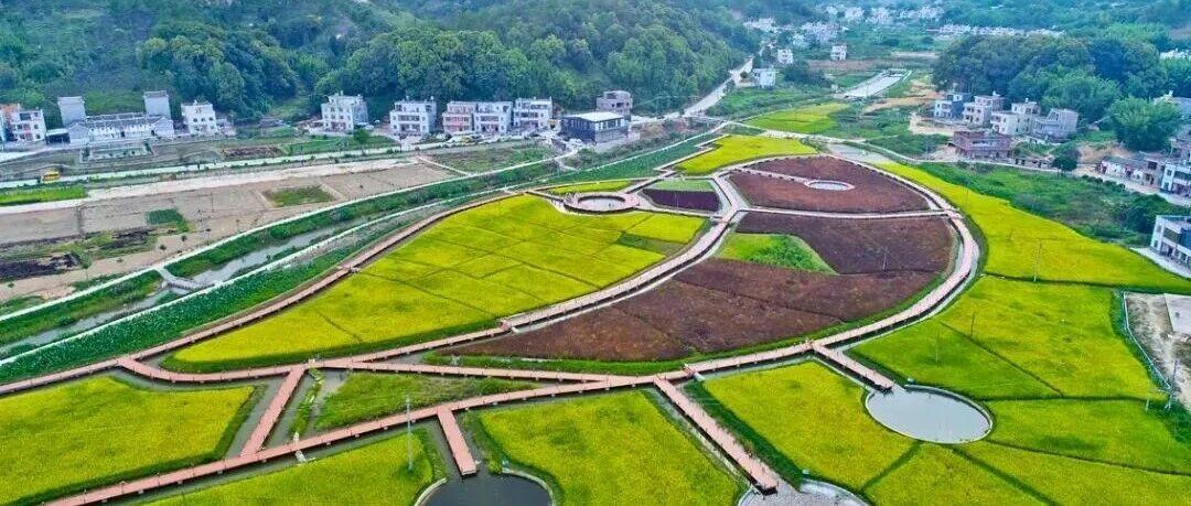 城乡的开放融合与国家的未来｜独思录 x 郑永年