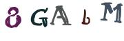 图形验证