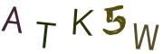 图形验证