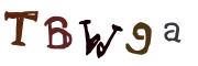 图形验证
