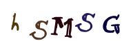 图形验证