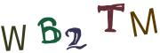 图形验证