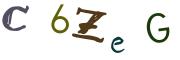 圖片的 CAPTCHA