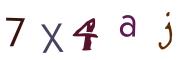 圖片的 CAPTCHA