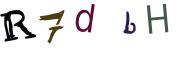 圖片的 CAPTCHA