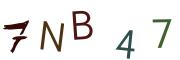 圖片的 CAPTCHA