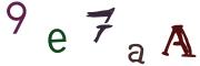 圖片的 CAPTCHA