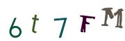 圖片的 CAPTCHA