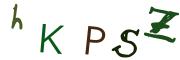 圖片的 CAPTCHA