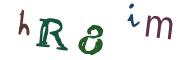 圖片的 CAPTCHA
