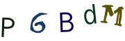 圖片的 CAPTCHA