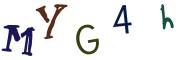 圖片的 CAPTCHA