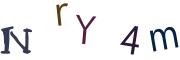圖片的 CAPTCHA
