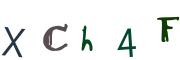 圖片的 CAPTCHA