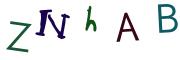 圖片的 CAPTCHA