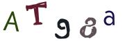 圖片的 CAPTCHA