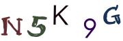 圖片的 CAPTCHA