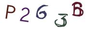 圖片的 CAPTCHA