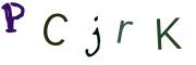 圖片的 CAPTCHA