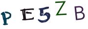 圖片的 CAPTCHA