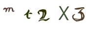 圖片的 CAPTCHA