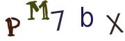 圖片的 CAPTCHA