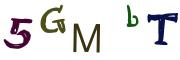 圖片的 CAPTCHA