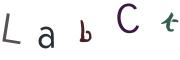 圖片的 CAPTCHA