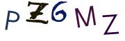 圖片的 CAPTCHA