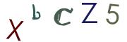 圖片的 CAPTCHA