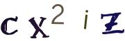 圖片的 CAPTCHA