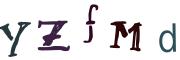 圖片的 CAPTCHA