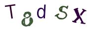 圖片的 CAPTCHA
