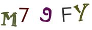 圖片的 CAPTCHA