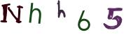 圖片的 CAPTCHA