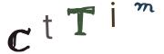 圖片的 CAPTCHA