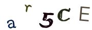 圖片的 CAPTCHA