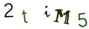 圖片的 CAPTCHA