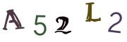 圖片的 CAPTCHA