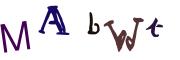 圖片的 CAPTCHA