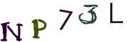 圖片的 CAPTCHA