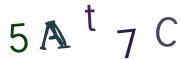 圖片的 CAPTCHA