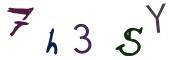 圖片的 CAPTCHA