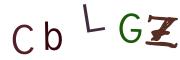 圖片的 CAPTCHA