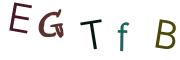 圖片的 CAPTCHA