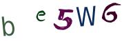 圖片的 CAPTCHA