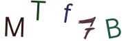 圖片的 CAPTCHA